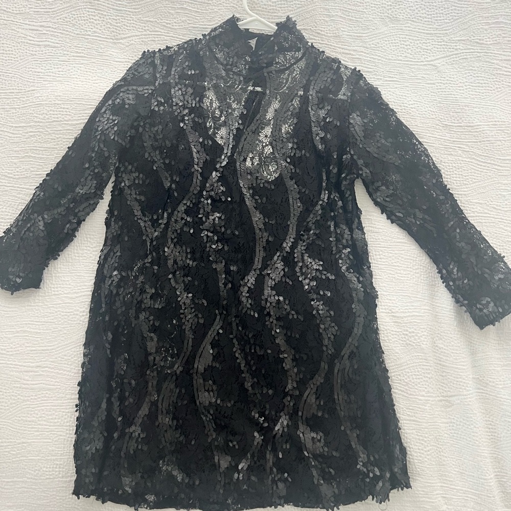 Zara long Sleeve Sequined Dress
